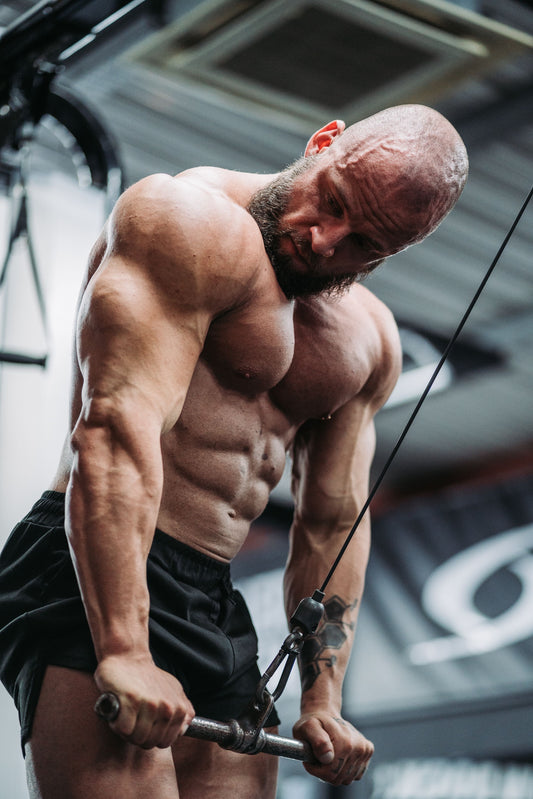 Heavy hypertrophy 16 weeks workout plan
